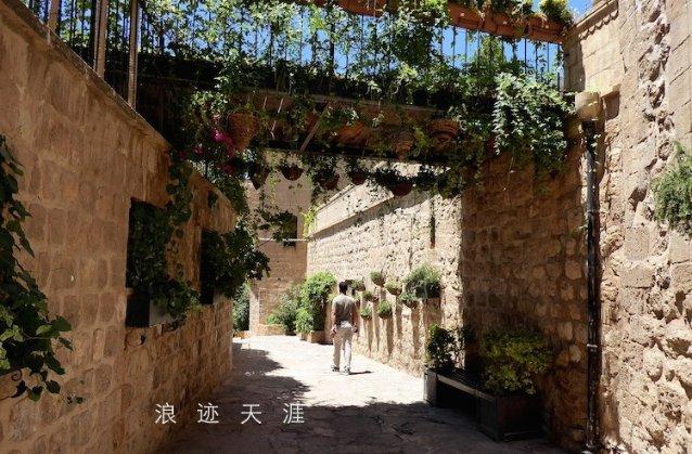 黎明守卫者