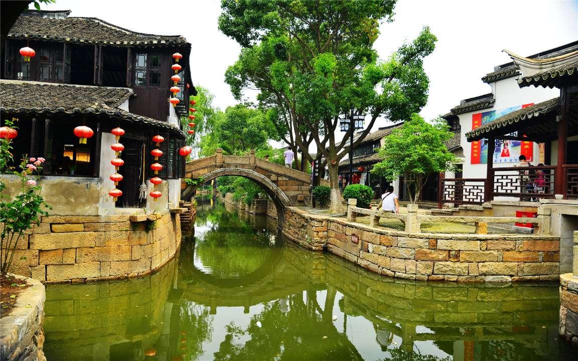 漂亮鹦鹉救援